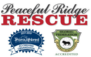 proud supporter of peaceful ridge rescue