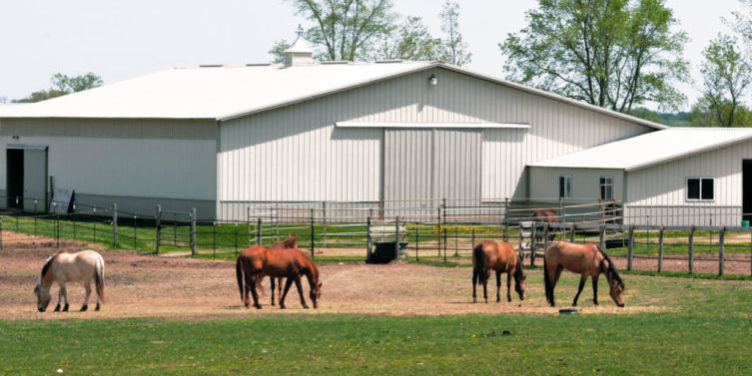 prefabricated steel farm buildings