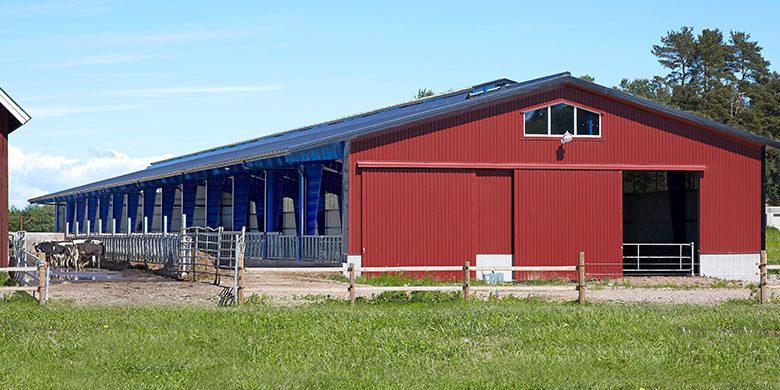 prefabricated metal livestock buildings