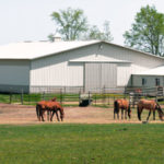 prefabricated steel horse barns and feed storage buildings for agricultural communities