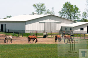 Horse Barns
